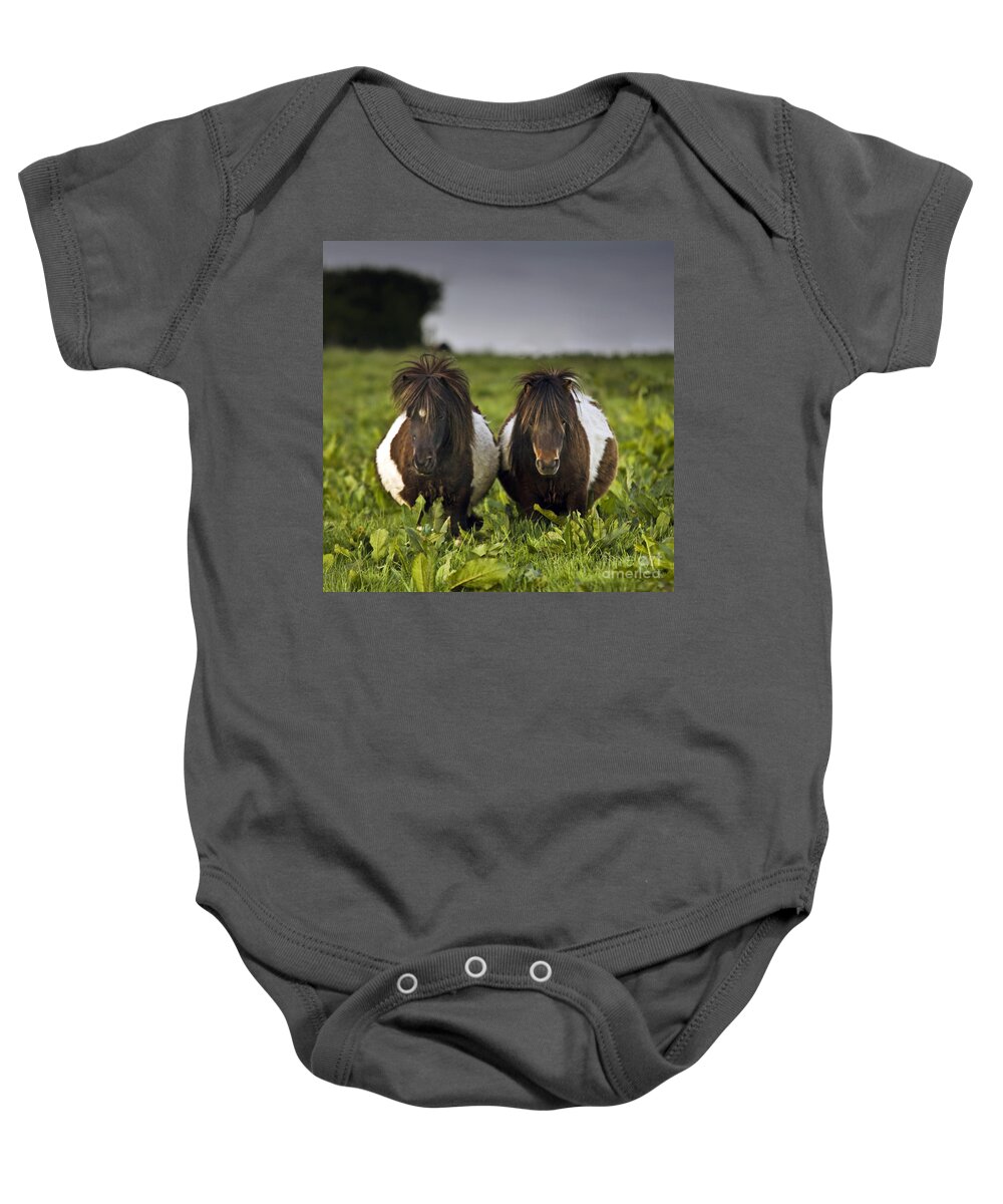 Pony Baby Onesie featuring the photograph Fluffy Round Rockstars by Ang El