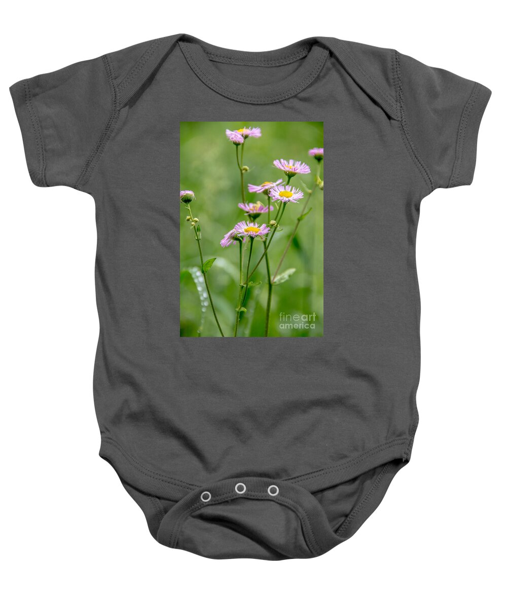 Landscape Baby Onesie featuring the photograph Wild Pink Asters by Cheryl Baxter