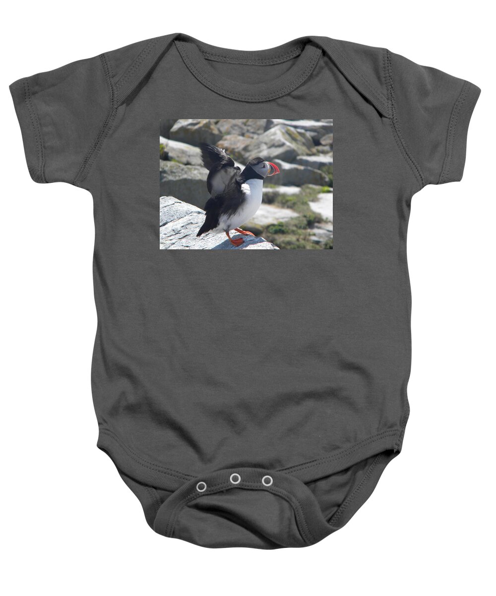 Atlantic Puffin Baby Onesie featuring the photograph Atlantic Puffin 4 #1 by James Petersen