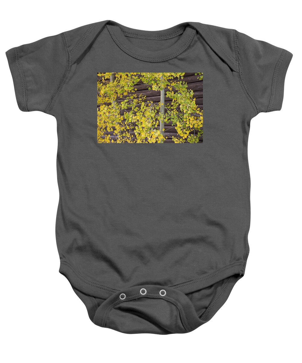Autumn Baby Onesie featuring the photograph Autumn Aspen Leaves #1 by James BO Insogna