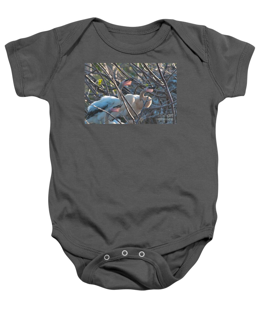 Nature Baby Onesie featuring the photograph Baby Anhinga #1 by Mark Newman