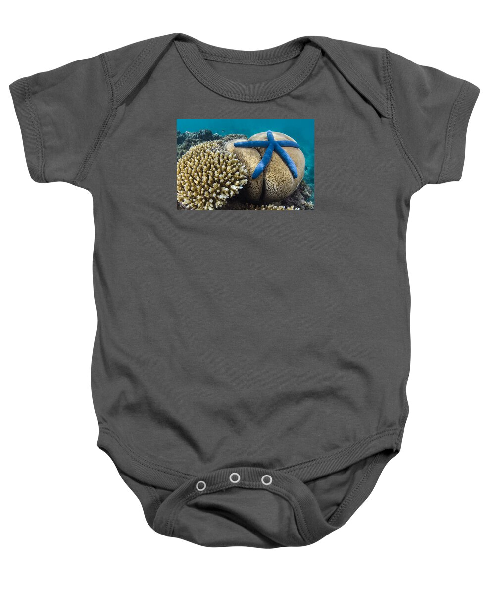 Pete Oxford Baby Onesie featuring the photograph Blue Sea Star On Coral Reef Fiji #2 by Pete Oxford