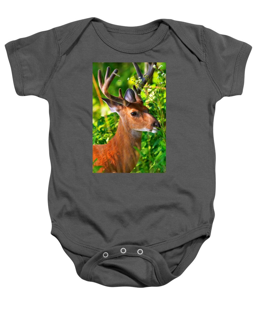 Deer Baby Onesie featuring the photograph Buck in velvet #2 by Mary Almond