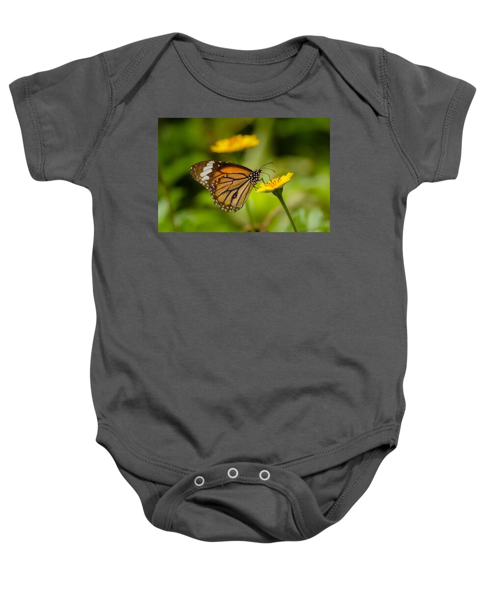 Brush-footed Butterfly Baby Onesie featuring the photograph Butterfly - Common Tiger #1 by SAURAVphoto Online Store