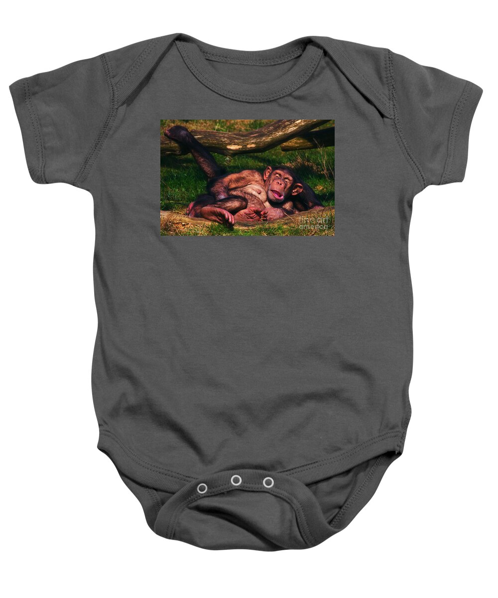 Chimpanzees Baby Onesie featuring the photograph Chimpanzees taking a nap #2 by Nick Biemans