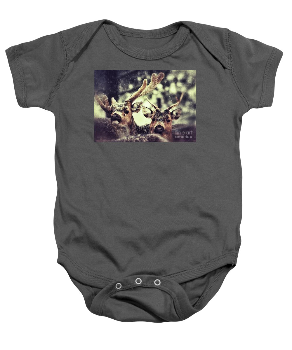 Closeup Baby Onesie featuring the photograph Deer in the snow #2 by Nick Biemans