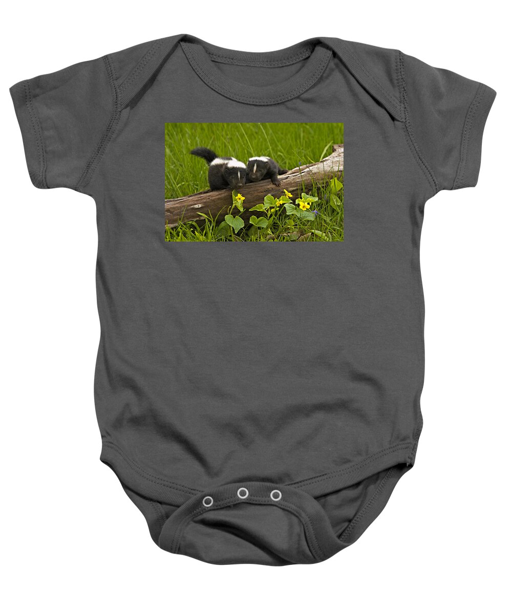 Animal Baby Onesie featuring the photograph Explorers #1 by Jack Milchanowski