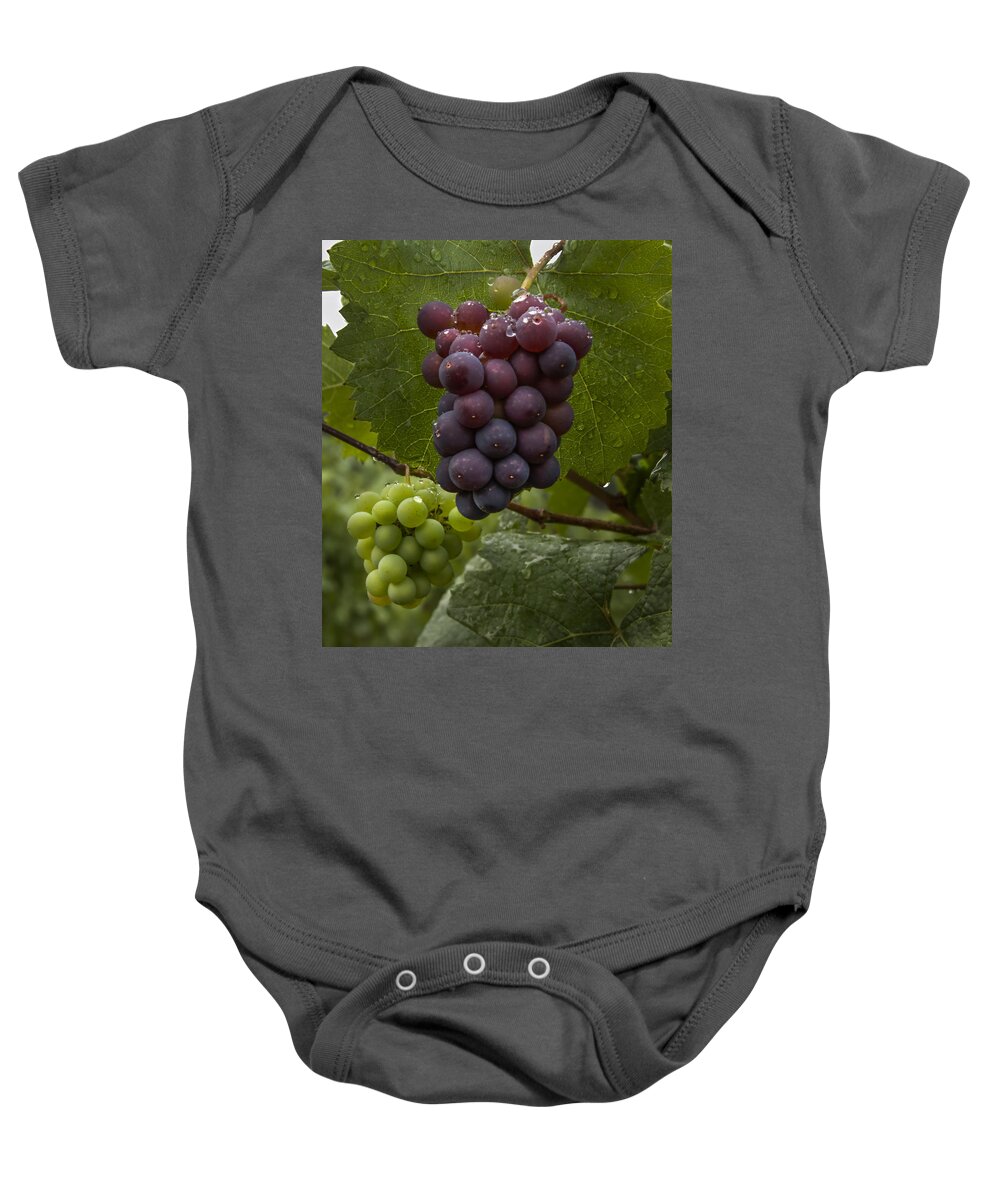 Grape Baby Onesie featuring the photograph Pinot Noir Grapes #1 by Jean Noren