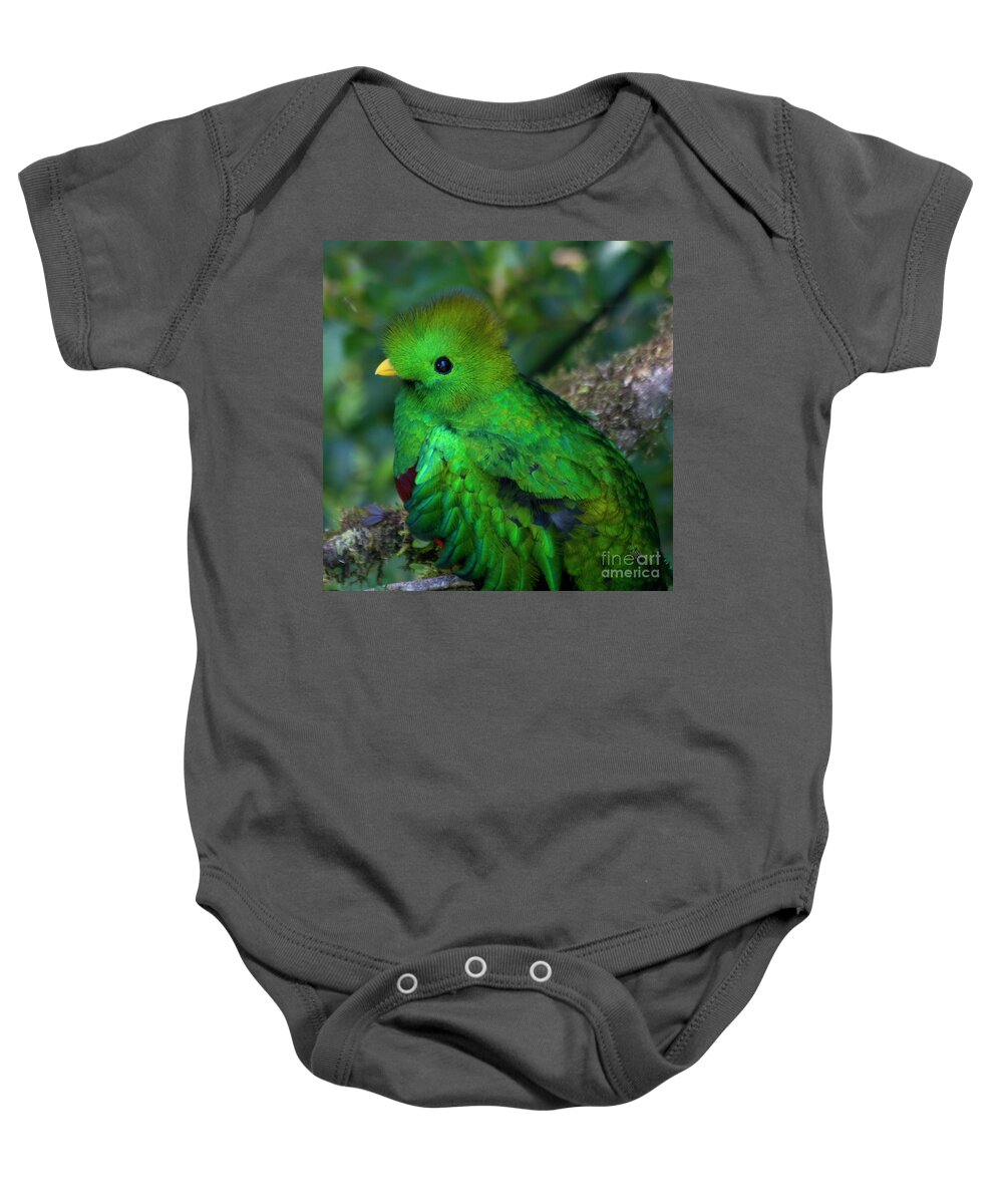 Bird Baby Onesie featuring the photograph Quetzal #3 by Heiko Koehrer-Wagner