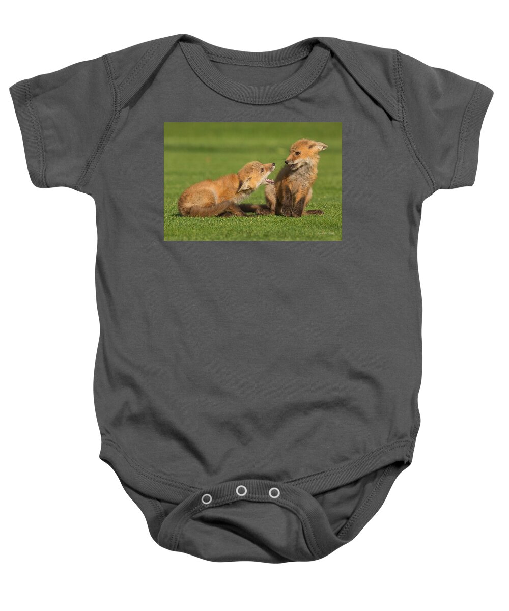 Fox Baby Onesie featuring the photograph Red Fox kits #2 by Everet Regal