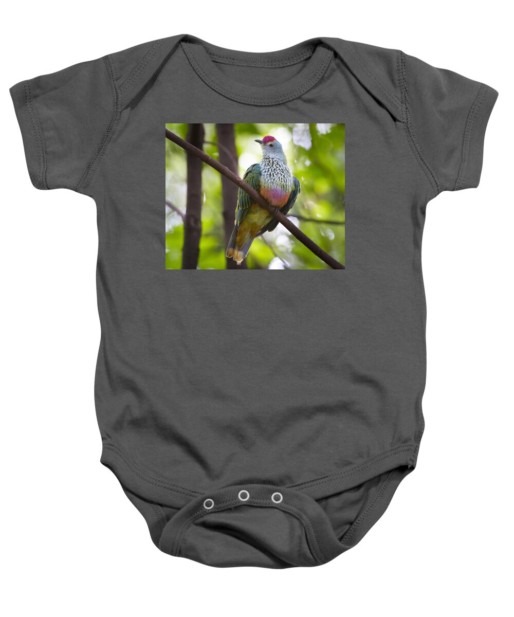 Martin Willis Baby Onesie featuring the photograph Rose-crowned Fruit-dove Australia #1 by Martin Willis