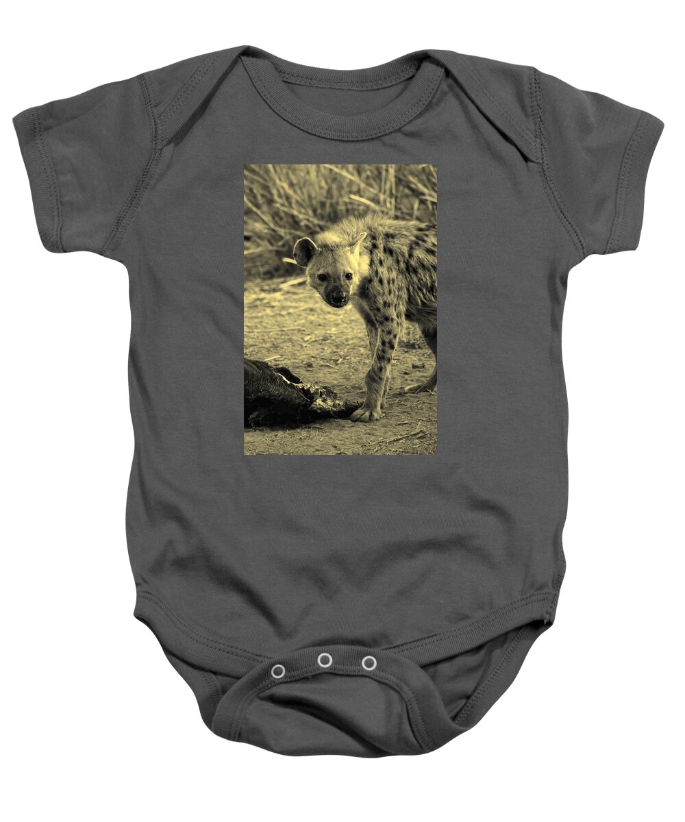 Spotted Hyena Baby Onesie featuring the photograph Spotted Hyena #1 by Amanda Stadther