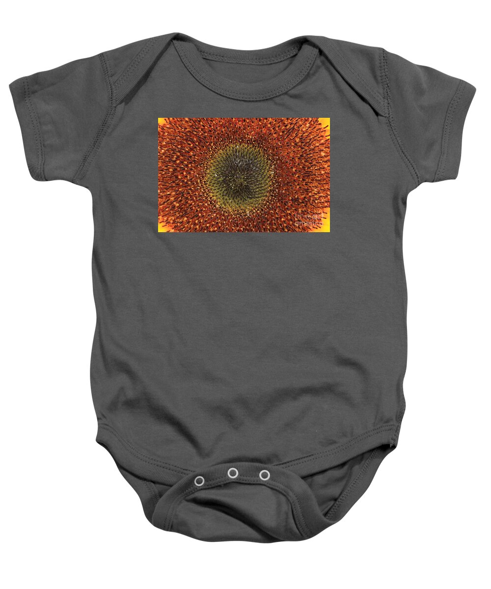Background Baby Onesie featuring the photograph Sunflower Seeds by Amanda Mohler