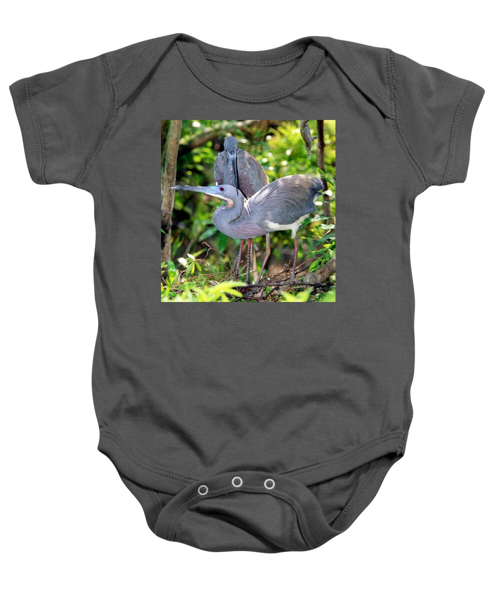 Animal Baby Onesie featuring the photograph Tricolor Heron Adults In Breeding #1 by Millard H. Sharp