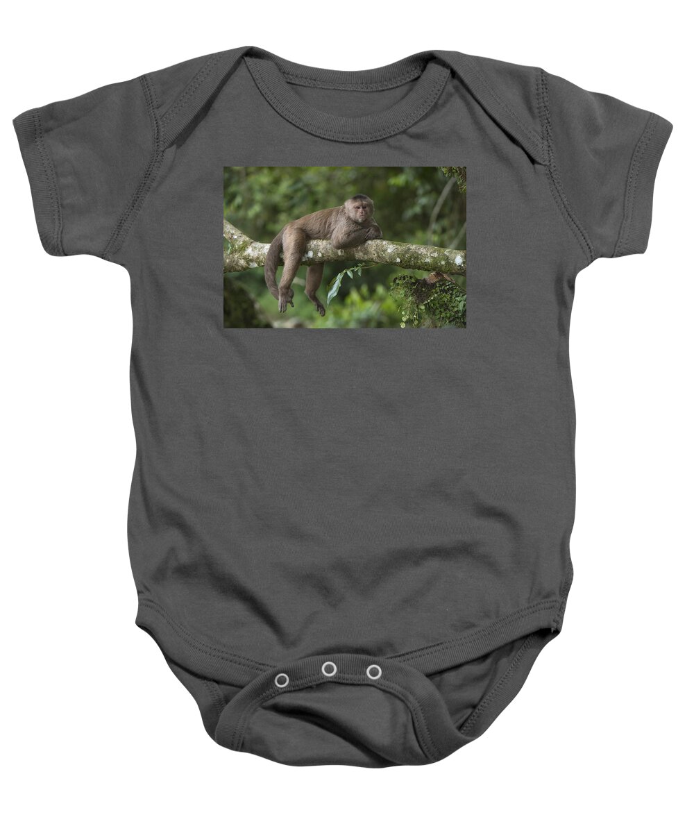 Pete Oxford Baby Onesie featuring the photograph White-fronted Capuchin Puerto by Pete Oxford