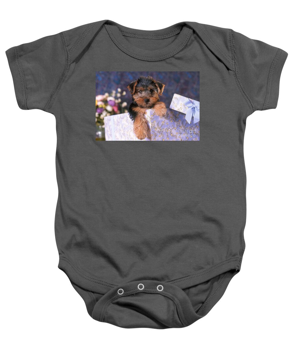 Animal Baby Onesie featuring the photograph Yorkshire Terrier Puppy by Alan and Sandy Carey