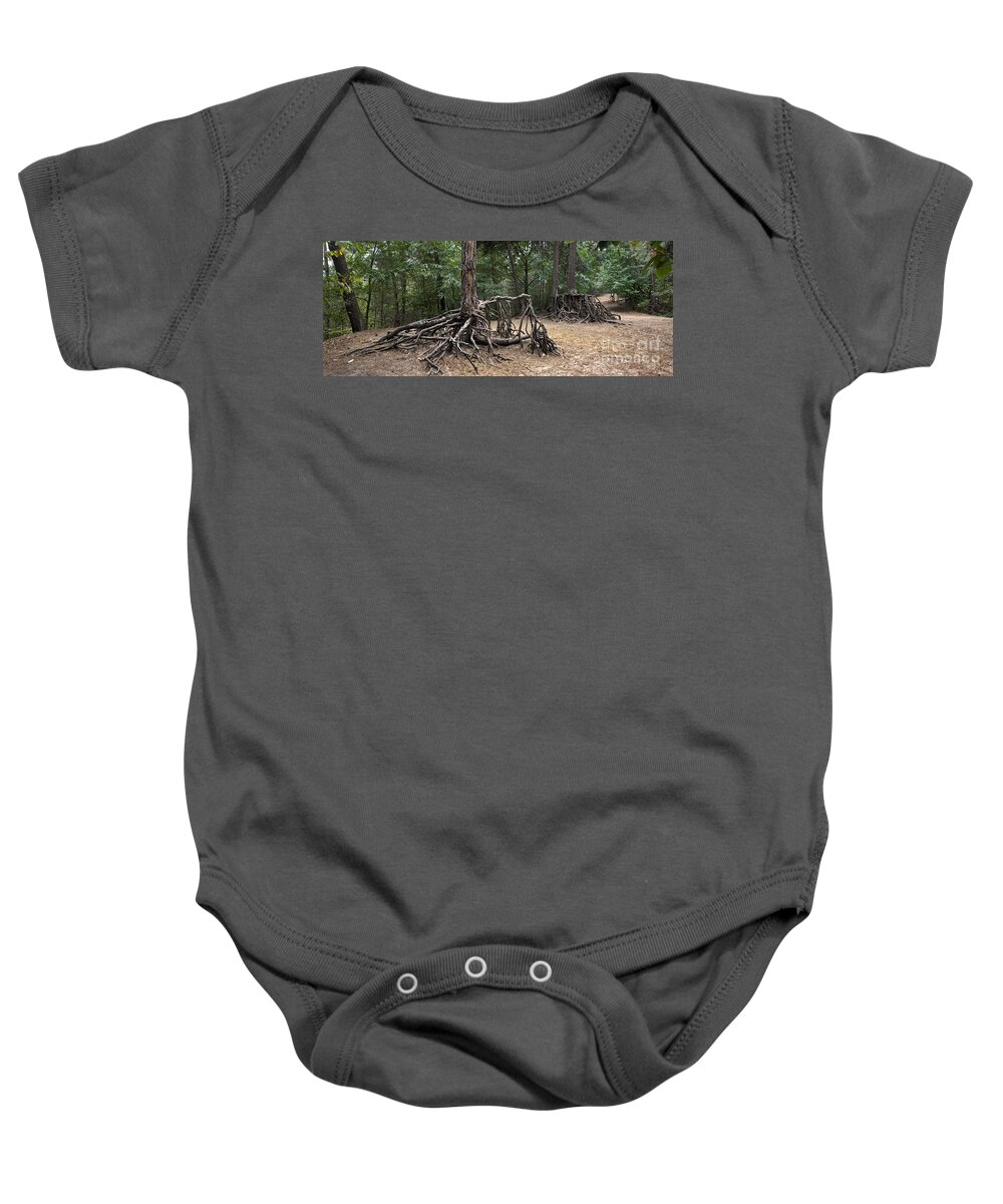 Scots Pine Baby Onesie featuring the photograph 120223p257 by Arterra Picture Library