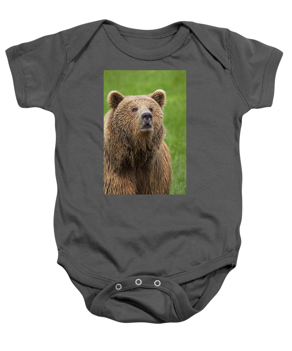 Common Baby Onesie featuring the photograph 131018p270 by Arterra Picture Library