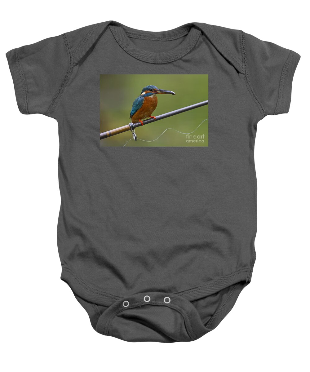 Common Kingfisher Baby Onesie featuring the photograph 140915p058 by Arterra Picture Library