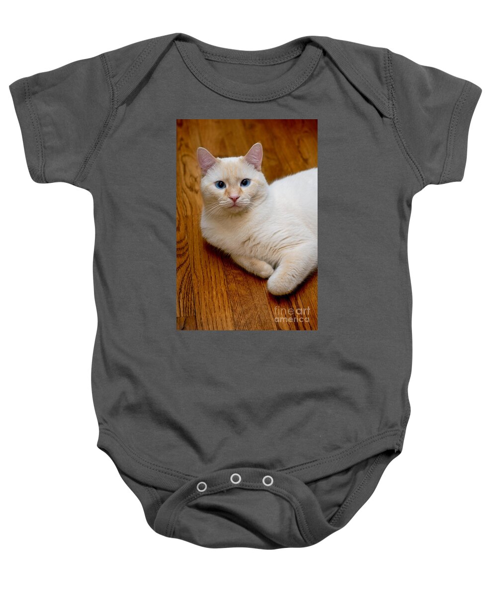 Blue Eyes Baby Onesie featuring the photograph Flame Point Siamese Cat #15 by Amy Cicconi