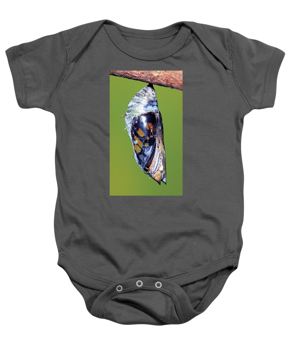 Butterfly Baby Onesie featuring the photograph Malachite Butterfly #19 by Millard H. Sharp
