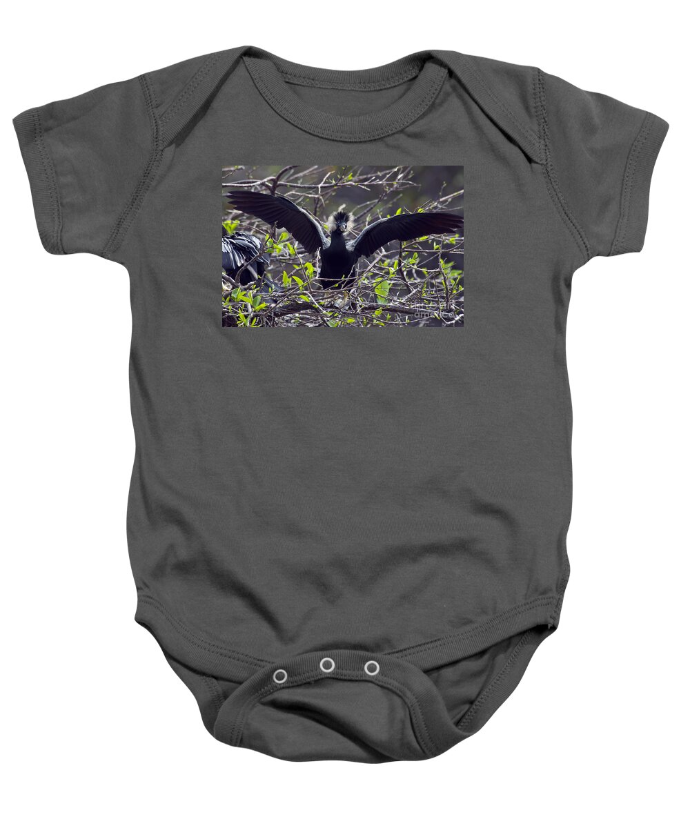 Nature Baby Onesie featuring the photograph Anhinga #2 by Mark Newman