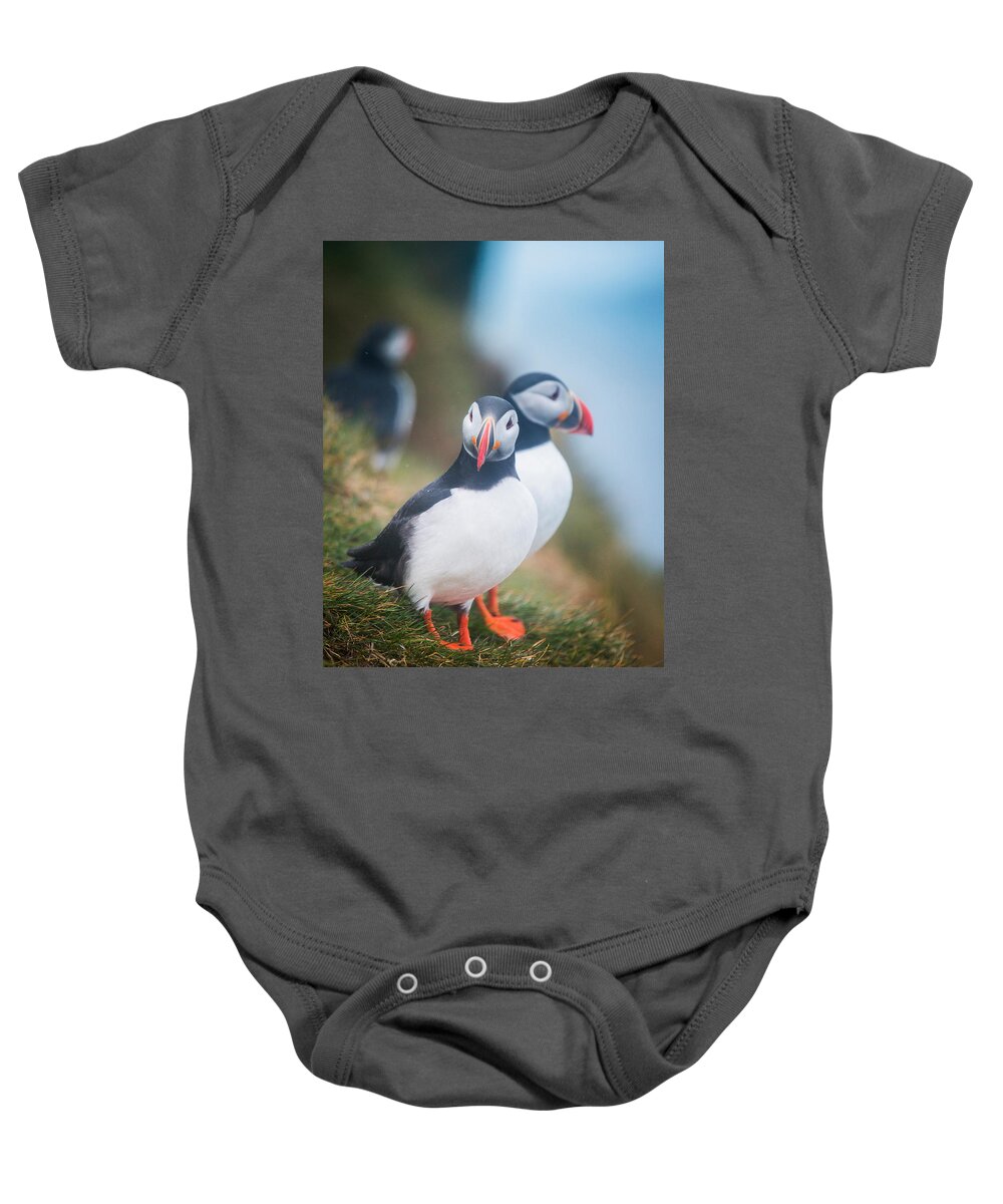 Photography Baby Onesie featuring the photograph Atlantic Puffins Fratercula Arctica #2 by Panoramic Images