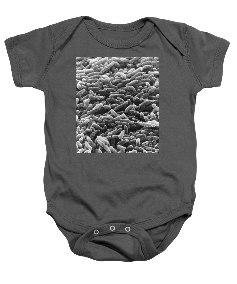Bacterial Baby Onesie featuring the photograph Bacteria, Sem #2 by David M. Phillips