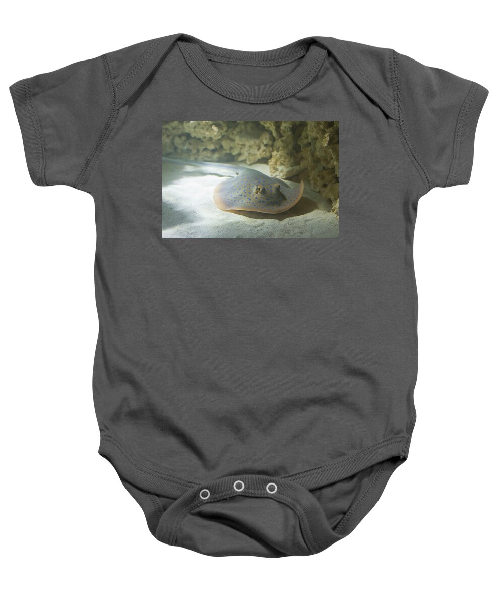Animals Baby Onesie featuring the photograph Blue spotted fantail ray #2 by Eti Reid