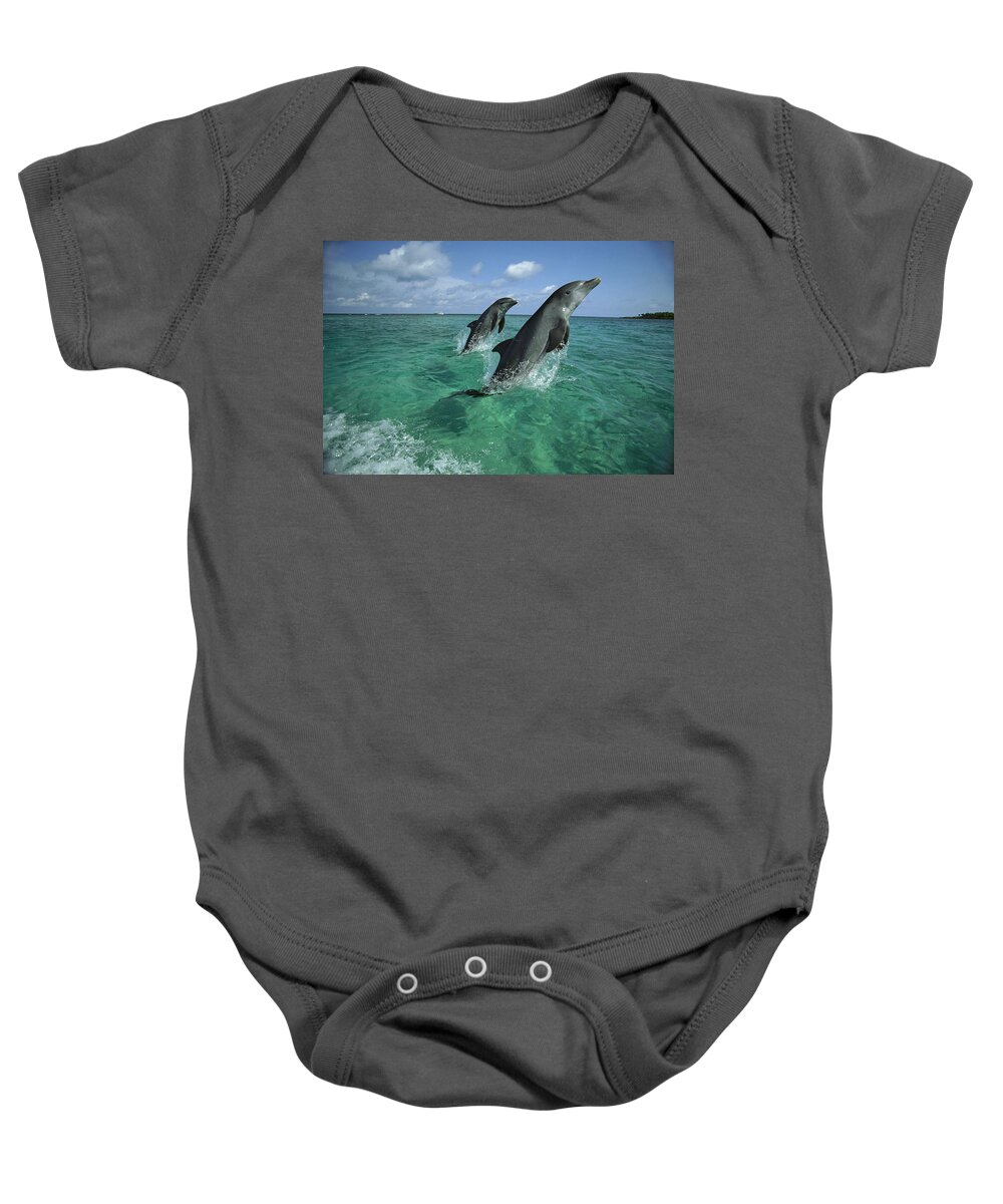 Feb0514 Baby Onesie featuring the photograph Bottlenose Dolphin Pair Leaping Honduras #2 by Konrad Wothe
