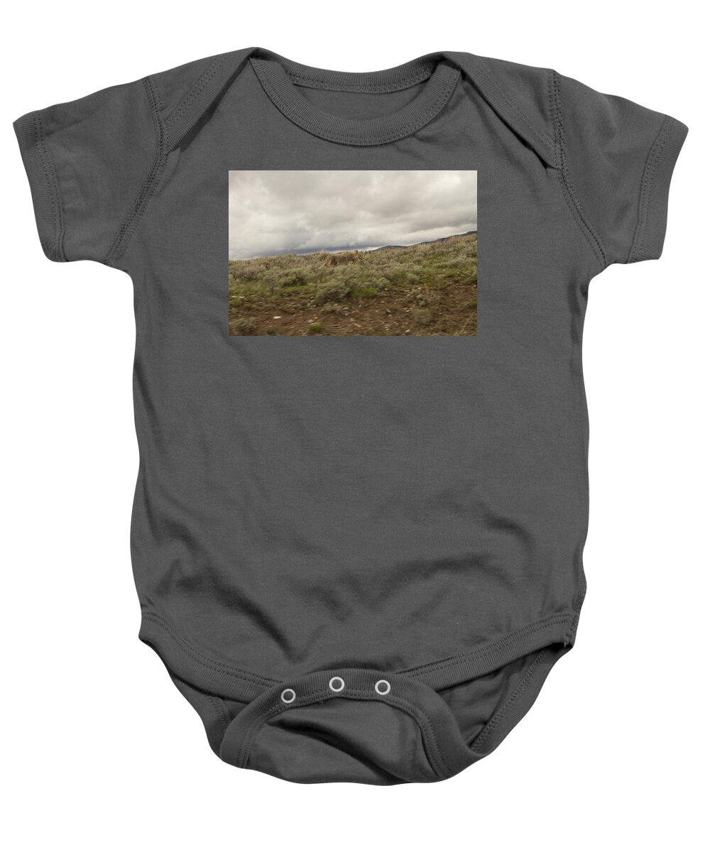 America Baby Onesie featuring the photograph Coyote #2 by Jack R Perry