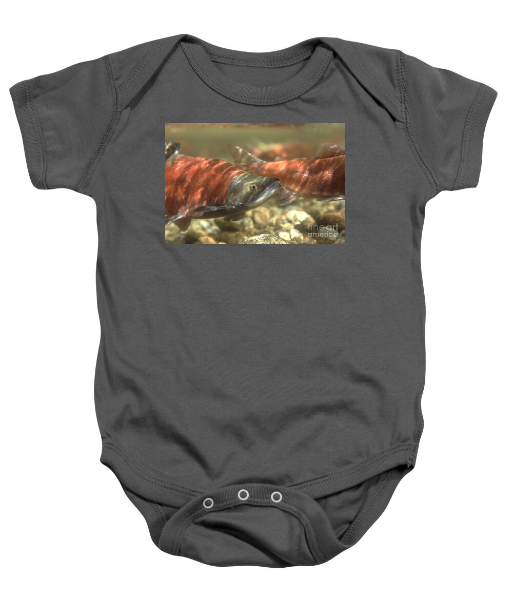 Kokanee Salmon Baby Onesie featuring the photograph Kokanee Salmon #2 by William H. Mullins
