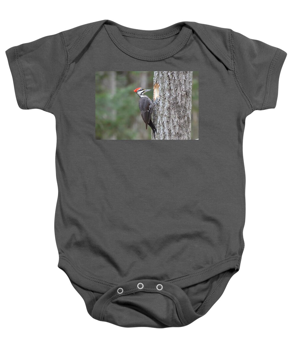 Pileated Woodpecker Baby Onesie featuring the photograph Pileated Woodpecker #2 by James Petersen