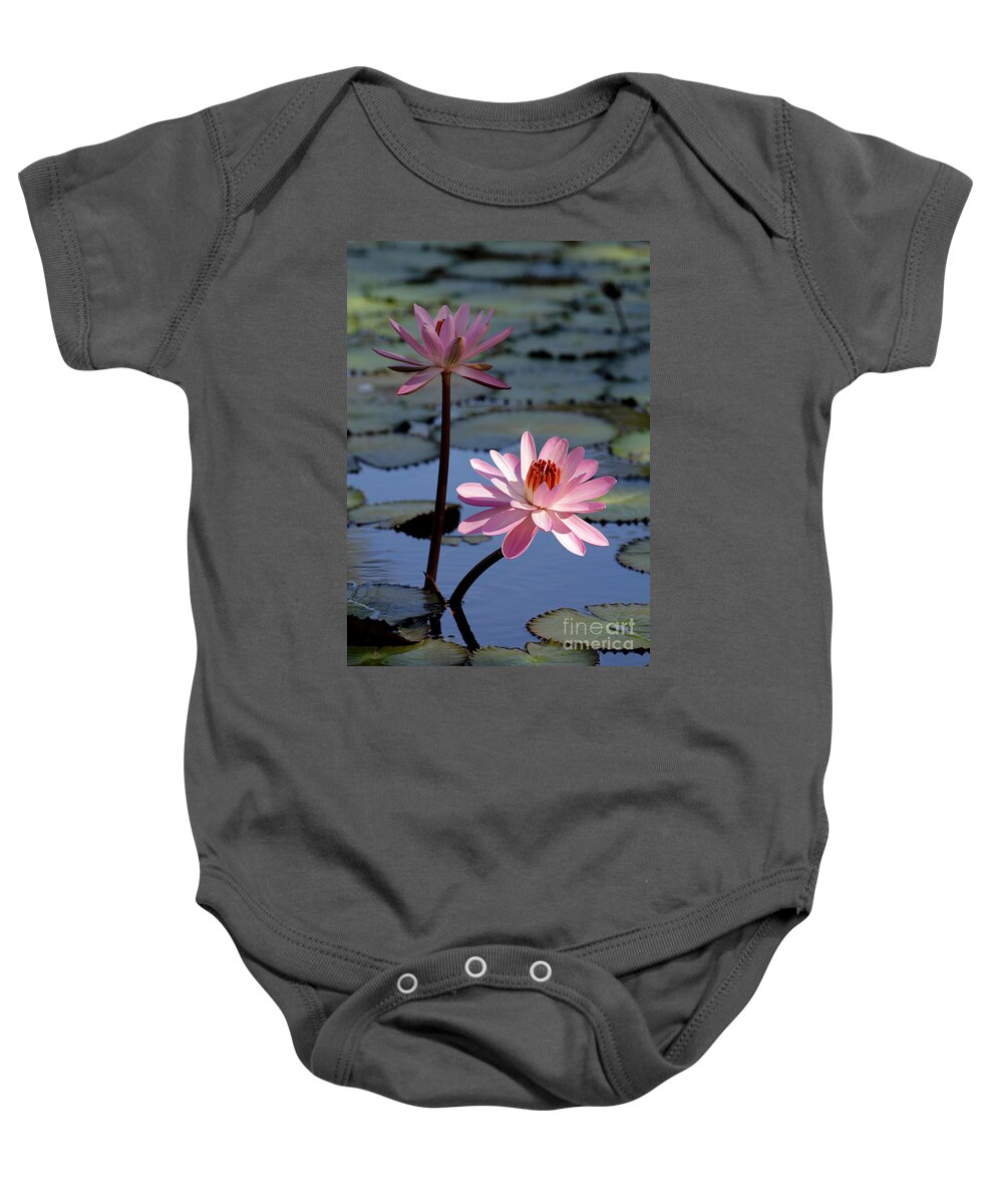 Landscape Baby Onesie featuring the photograph Pink Water Lily in the Spotlight #2 by Sabrina L Ryan