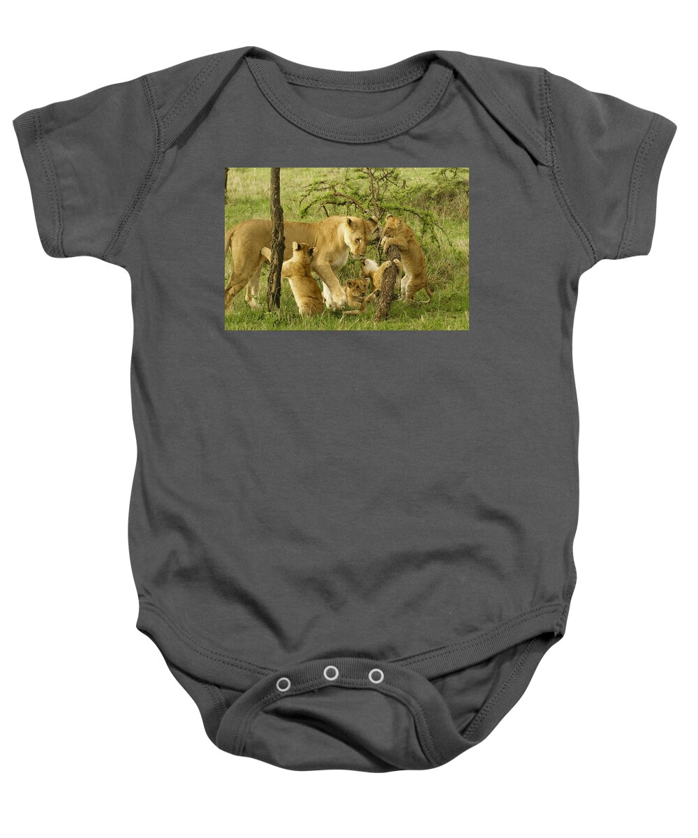 Lion Baby Onesie featuring the photograph Playing with Mom #2 by Michele Burgess