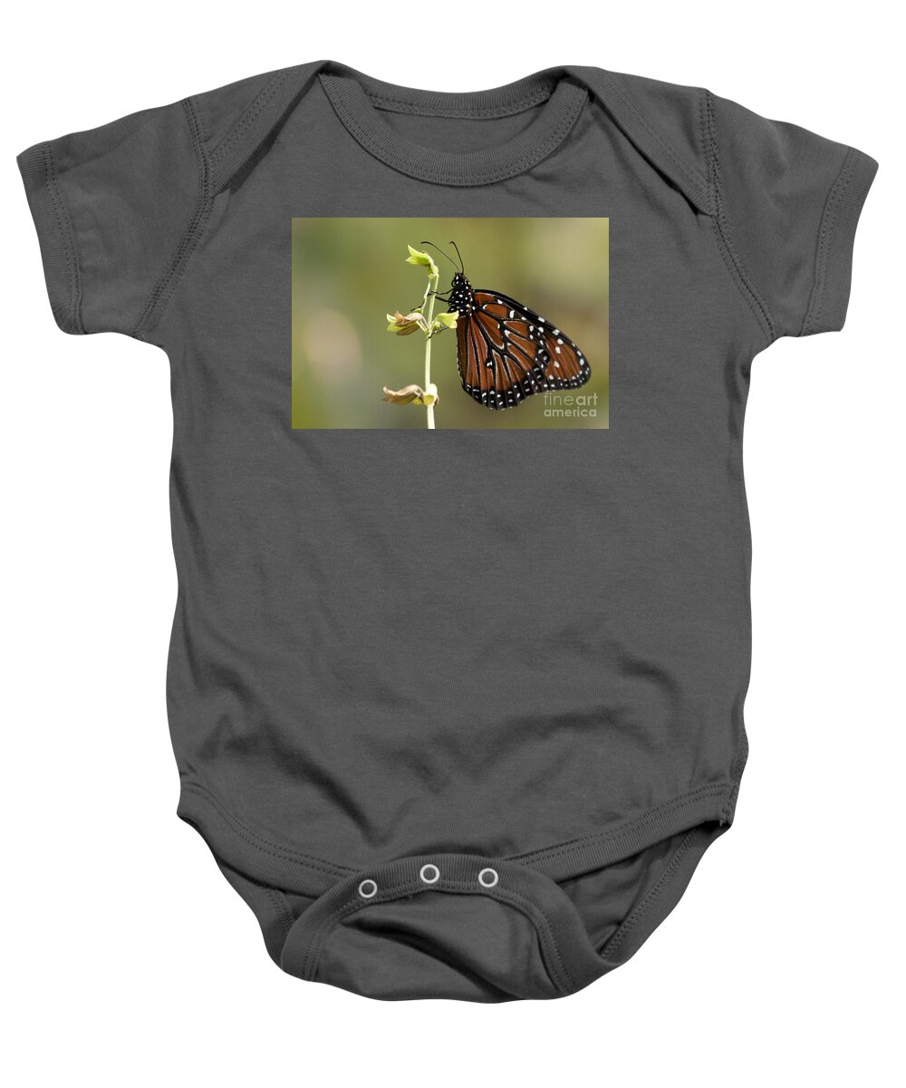 Queen Butterfly Baby Onesie featuring the photograph Queen Butterfly #1 by Meg Rousher