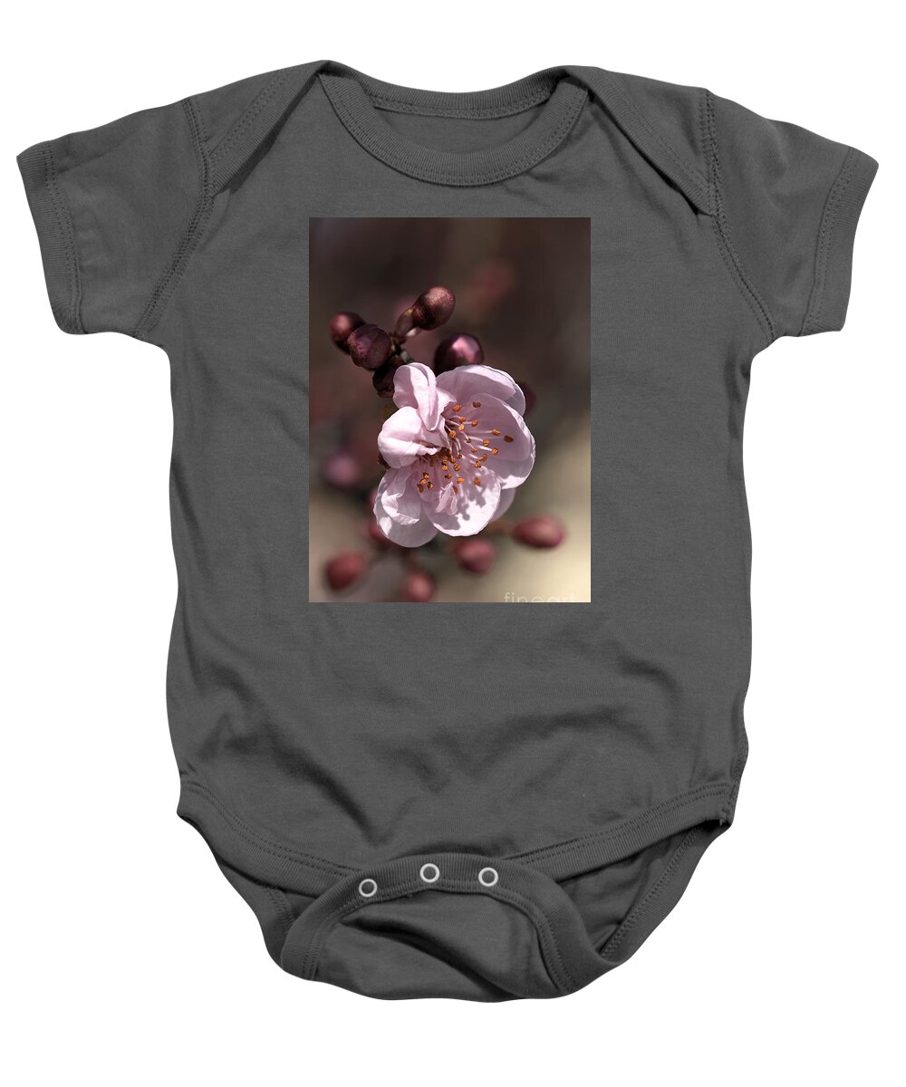 Spring Blossom Baby Onesie featuring the photograph Spring Blossom by Joy Watson