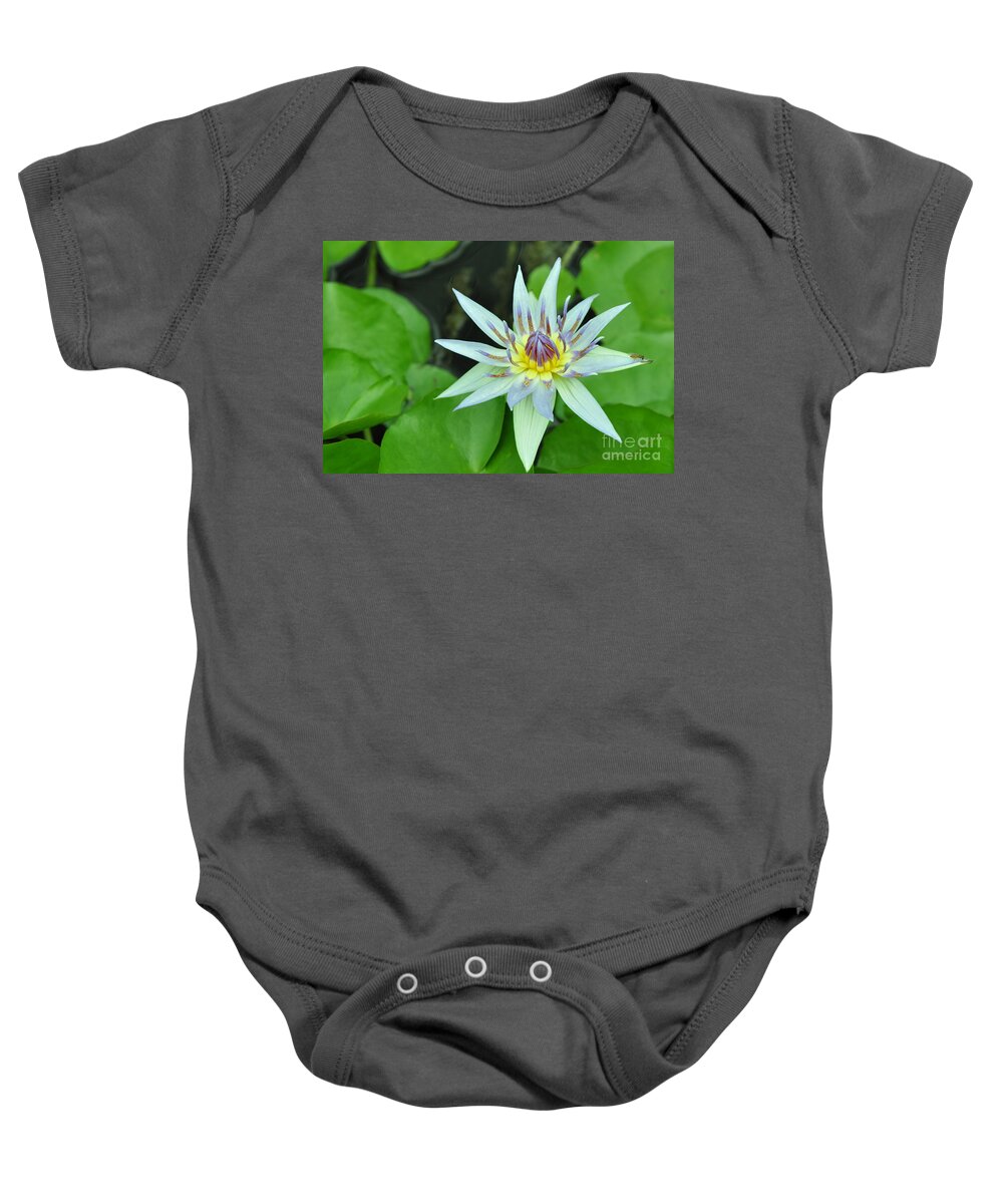 Water Lillies Baby Onesie featuring the photograph Water Lily 3 by Allen Beatty