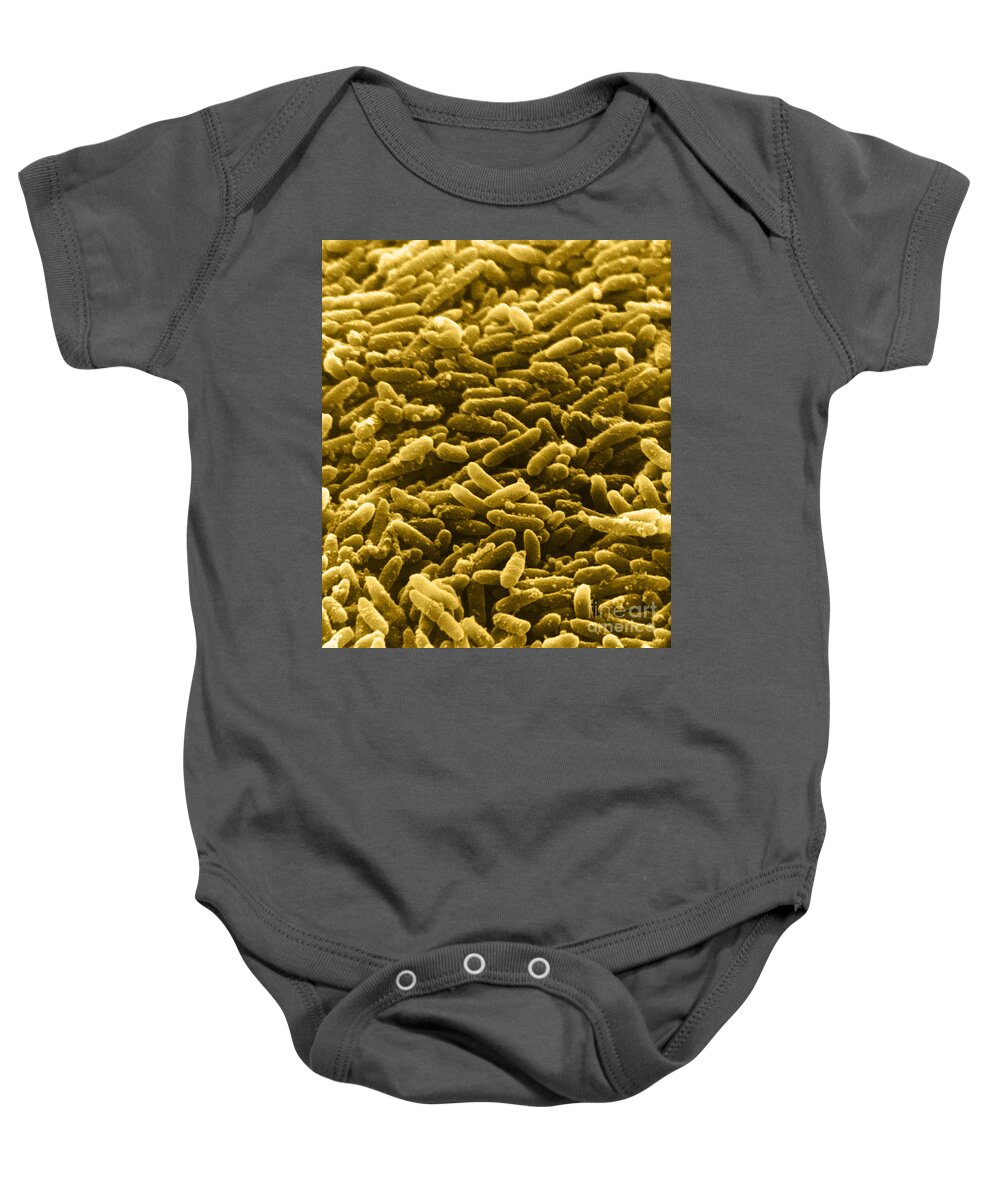 Bacterial Baby Onesie featuring the photograph Bacteria, Sem #3 by David M. Phillips