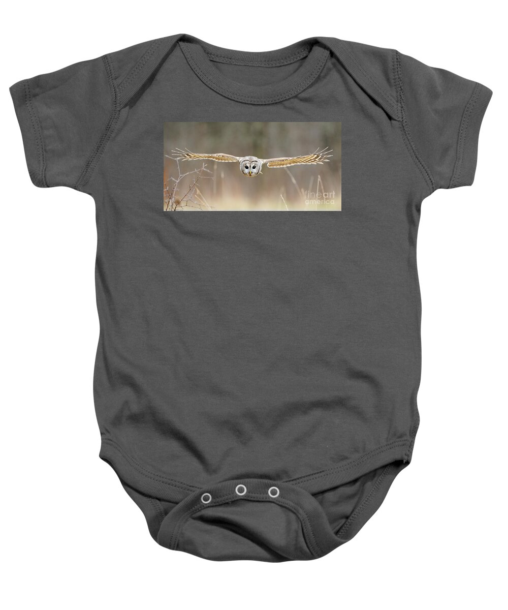 Barred Owl Baby Onesie featuring the photograph Barred Owl In Flight #5 by Scott Linstead