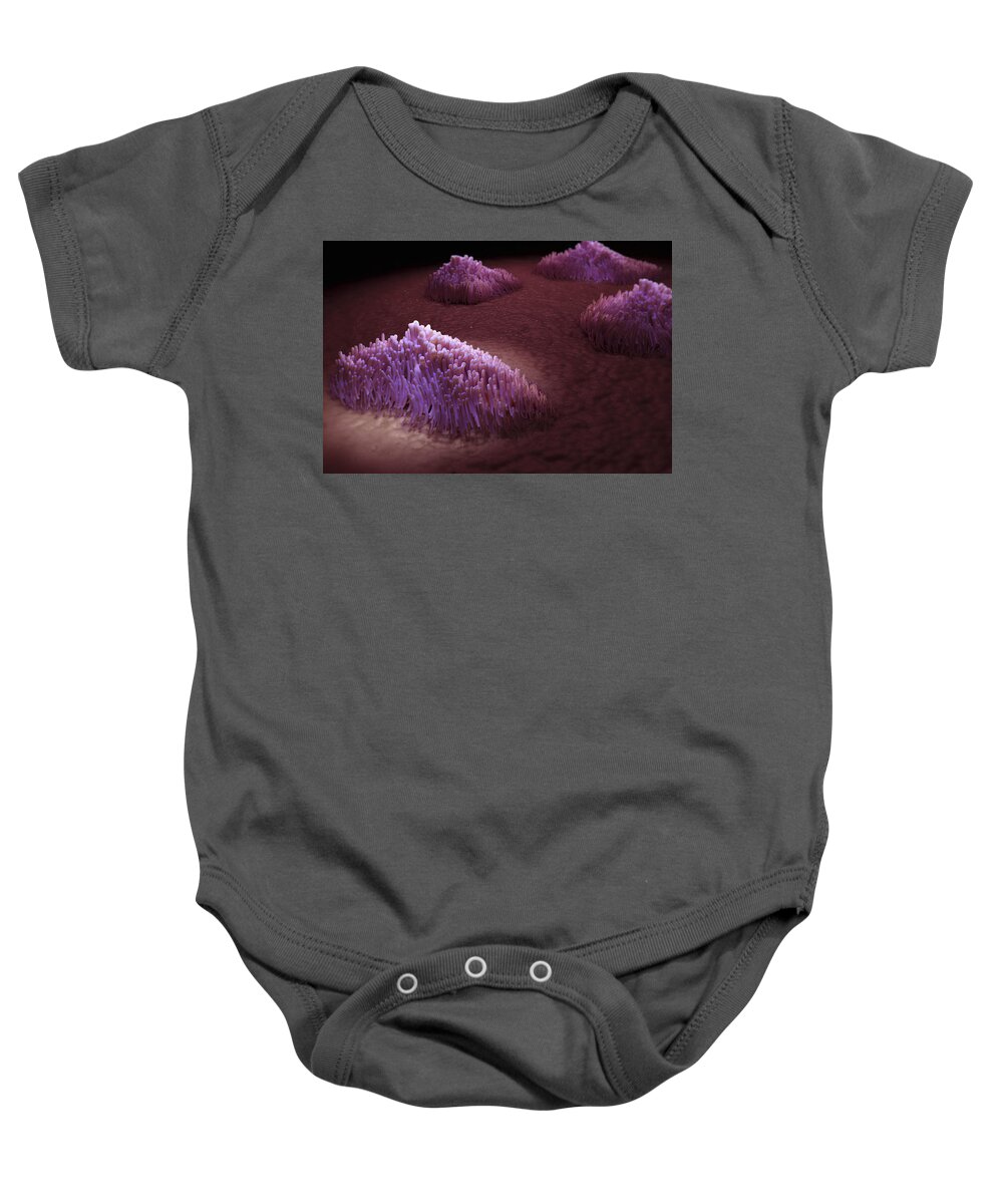 Lungs Baby Onesie featuring the photograph Cilia Of The Respiratory Tract #5 by Science Picture Co