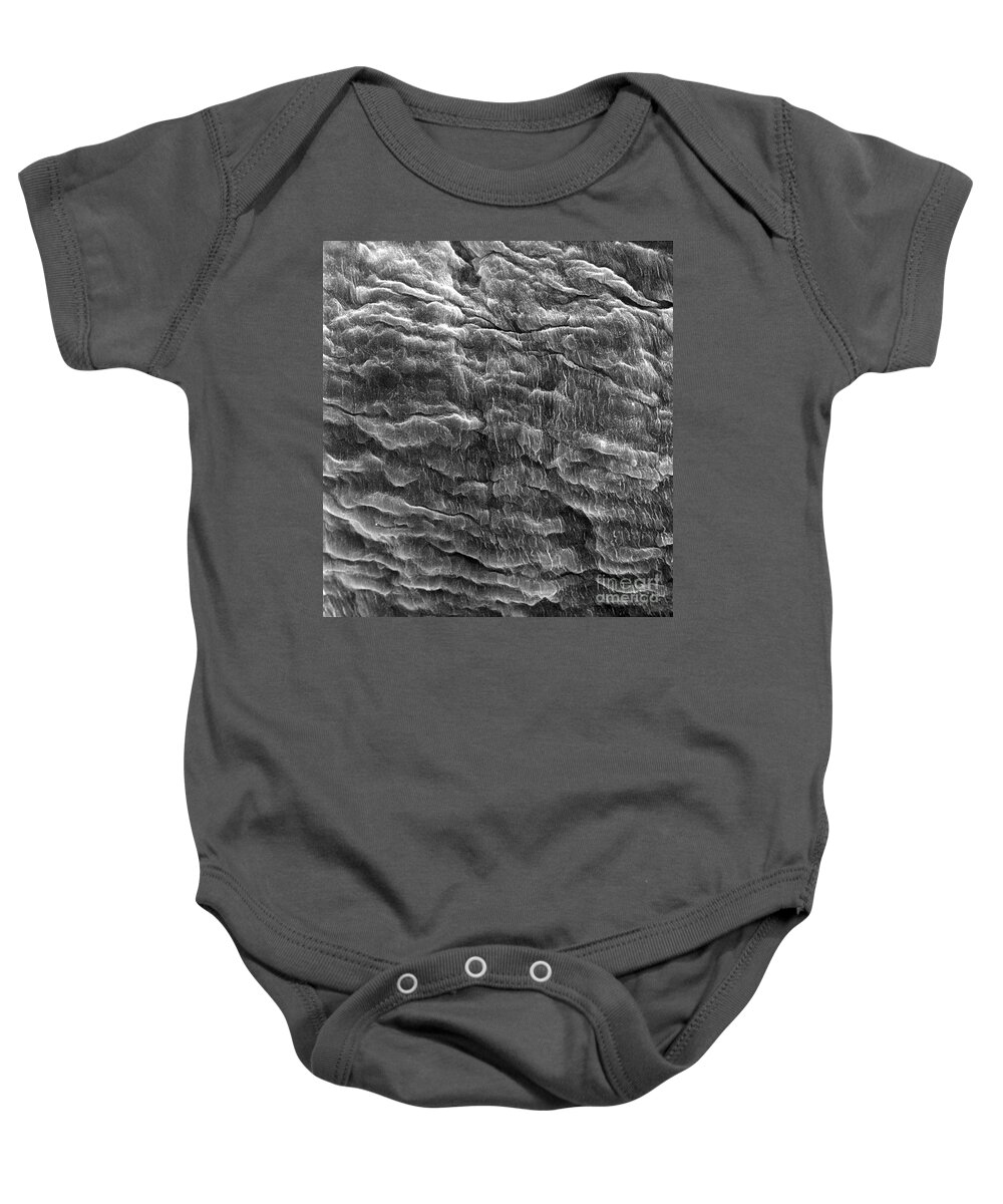 Anatomical Baby Onesie featuring the photograph Heart Valve, Sem #2 by David M Phillips