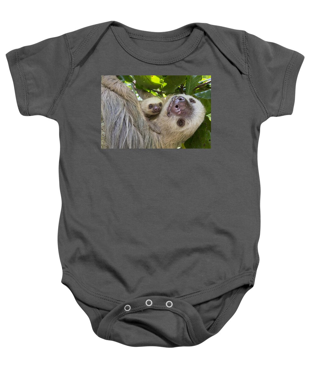 Suzi Eszterhas Baby Onesie featuring the photograph Hoffmanns Two-toed Sloth And Old Baby #3 by Suzi Eszterhas