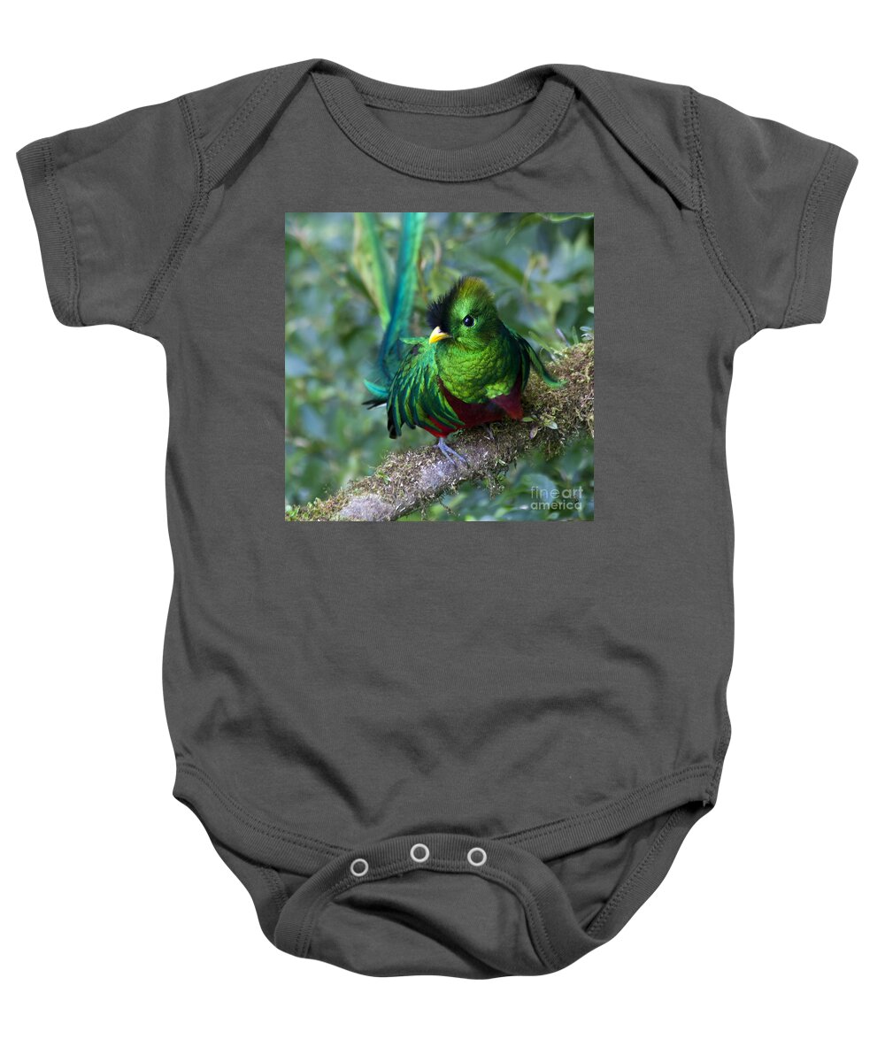 Bird Baby Onesie featuring the photograph Quetzal #2 by Heiko Koehrer-Wagner