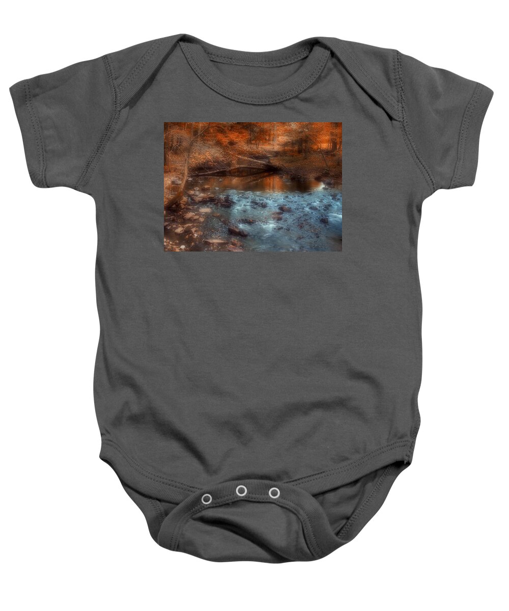 Autumn Baby Onesie featuring the photograph Through the Woods #3 by Joann Vitali