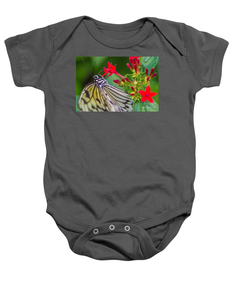 Butterfly Baby Onesie featuring the photograph Butterfly #30 by Rene Triay FineArt Photos