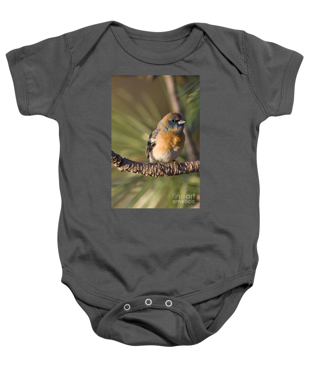 Lazuli Bunting Baby Onesie featuring the photograph Male Lazuli Bunting #4 by William H. Mullins