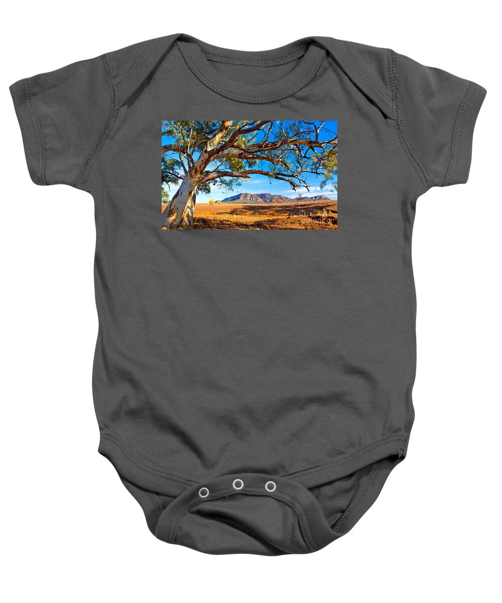 Wilpena Pound Flinders Ranges South Australia Outback Landscape Baby Onesie featuring the photograph Wilpena Pound by Bill Robinson