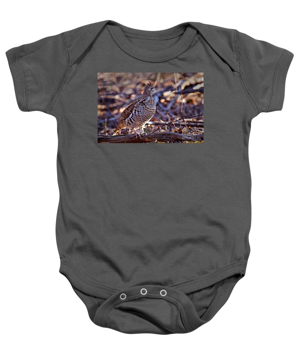 Bedford Baby Onesie featuring the photograph Ruffed Grouse by Ronald Lutz