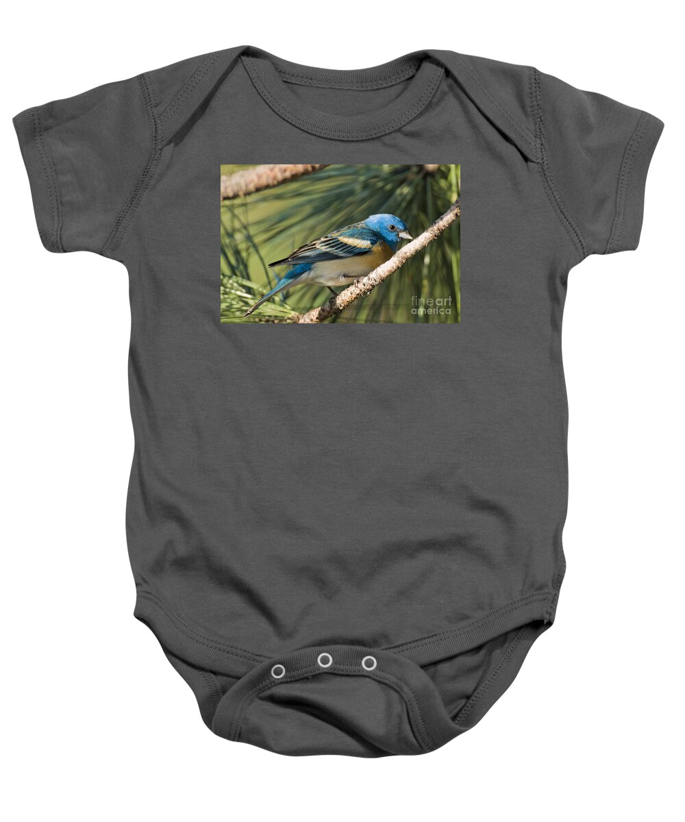 Lazuli Bunting Baby Onesie featuring the photograph Male Lazuli Bunting #6 by William H. Mullins